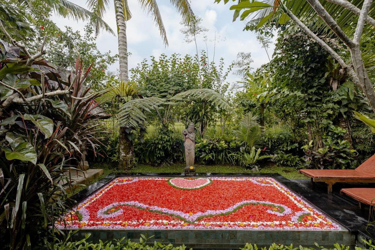 Moringa Ubud Villa Exterior photo